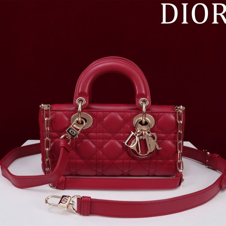 chr1st1an D10r my lady bags